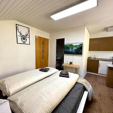 Cozy Flat For 2 Ideal Location Near Riederalp * Mörel